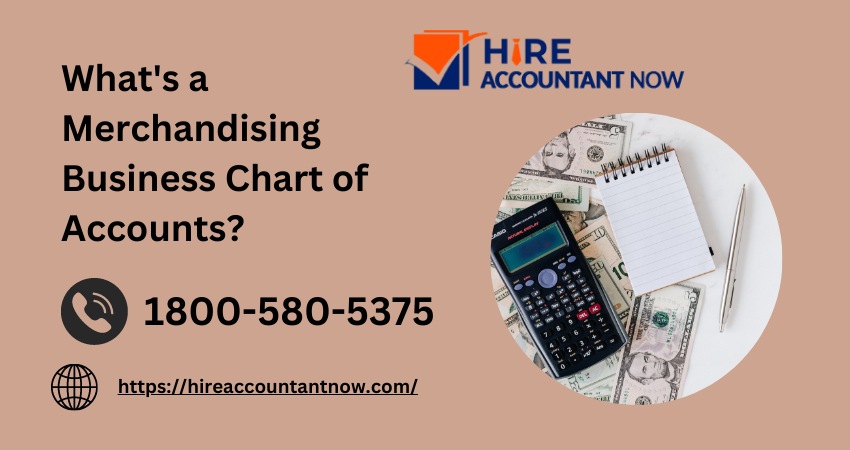 A Merchandising Business Chart of Accounts